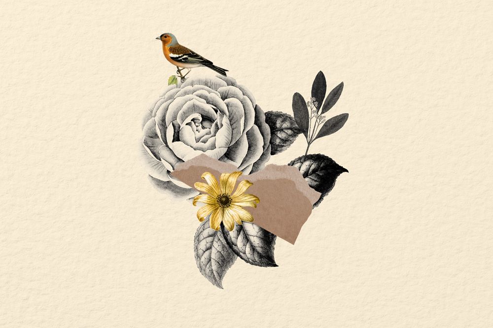 Editable bird and flower Ephemera collage element 