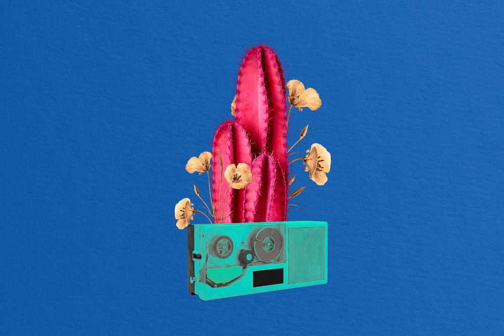 Editable retro cactus and VHS collage