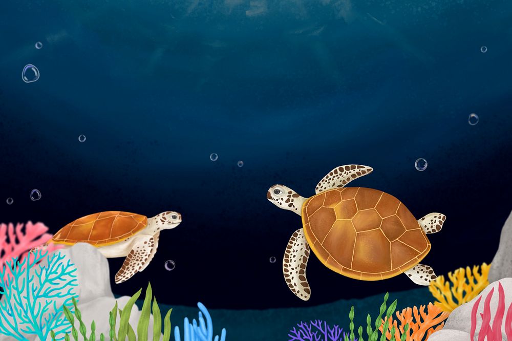 Sea turtle, dark background, editable illustration border