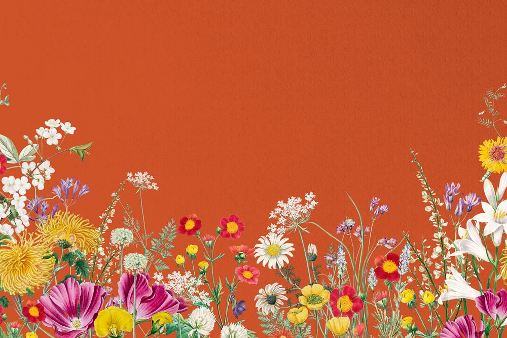 Spring wildflower border background, colorful botanical illustration, editable design