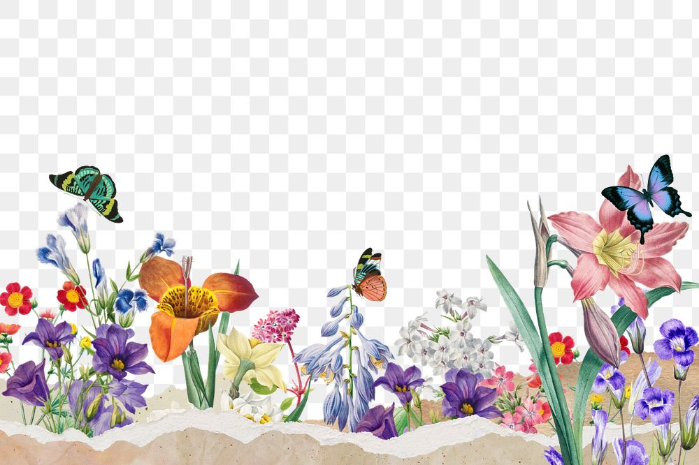 Colorful spring flowers png border, editable design