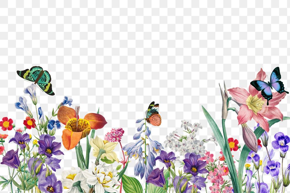 Colorful spring flowers png border, editable design