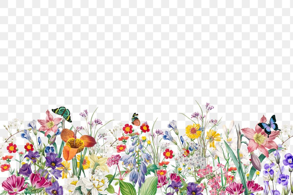 Colorful spring flowers png border, transparent background, editable design