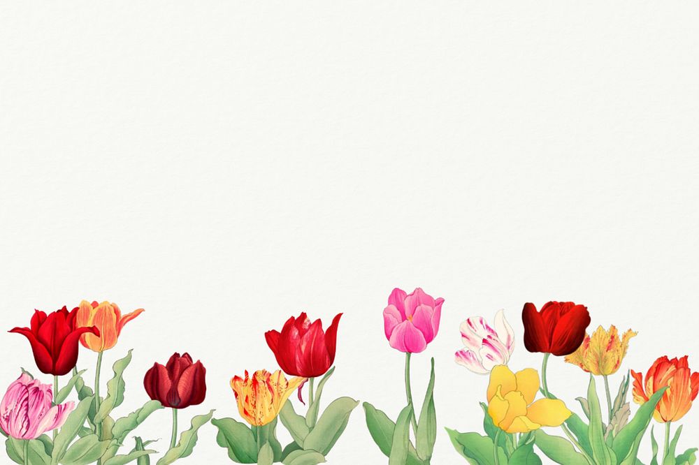 Floral white border background.  Remixed by rawpixel.