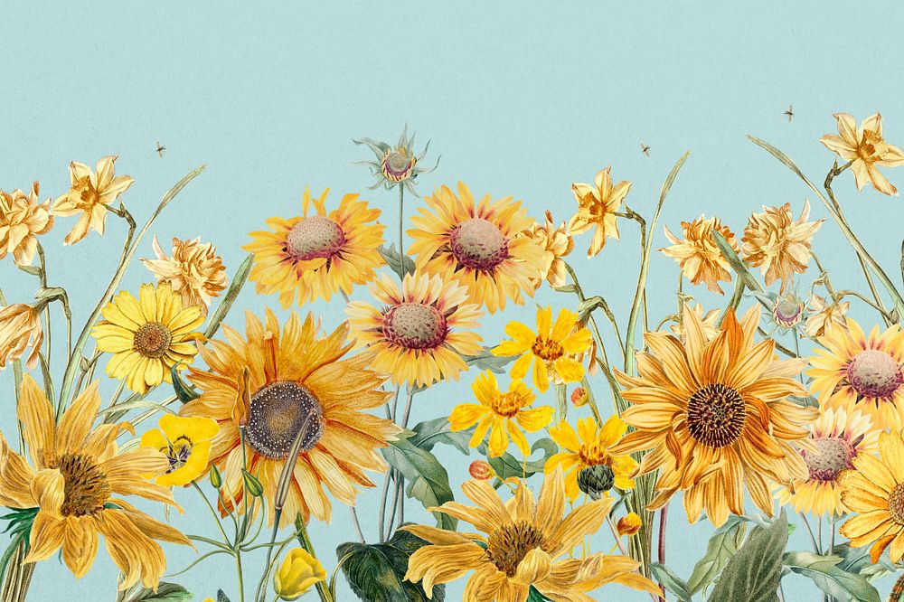 Aesthetic yellow sunflowers background, beautiful botanical illustration, editable design