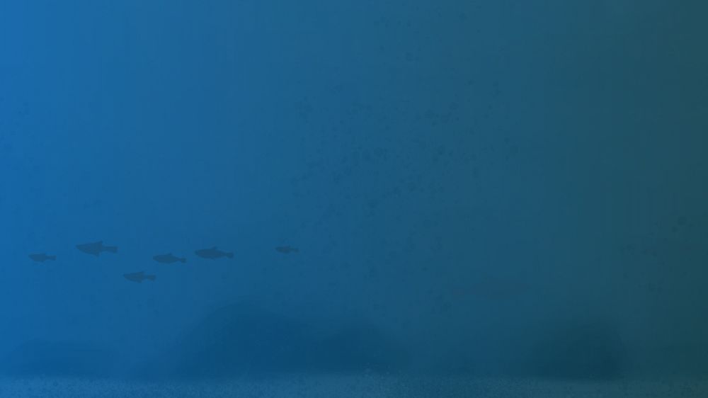 Deep blue ocean desktop wallpaper, customizable background