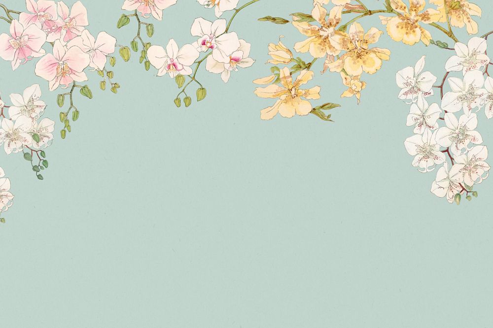 Floral illustration border background.  Remixed by rawpixel.