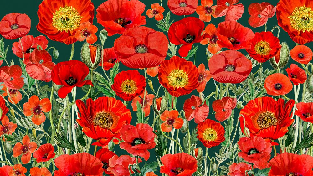 Poppy flower pattern desktop wallpaper, red floral background, editable design