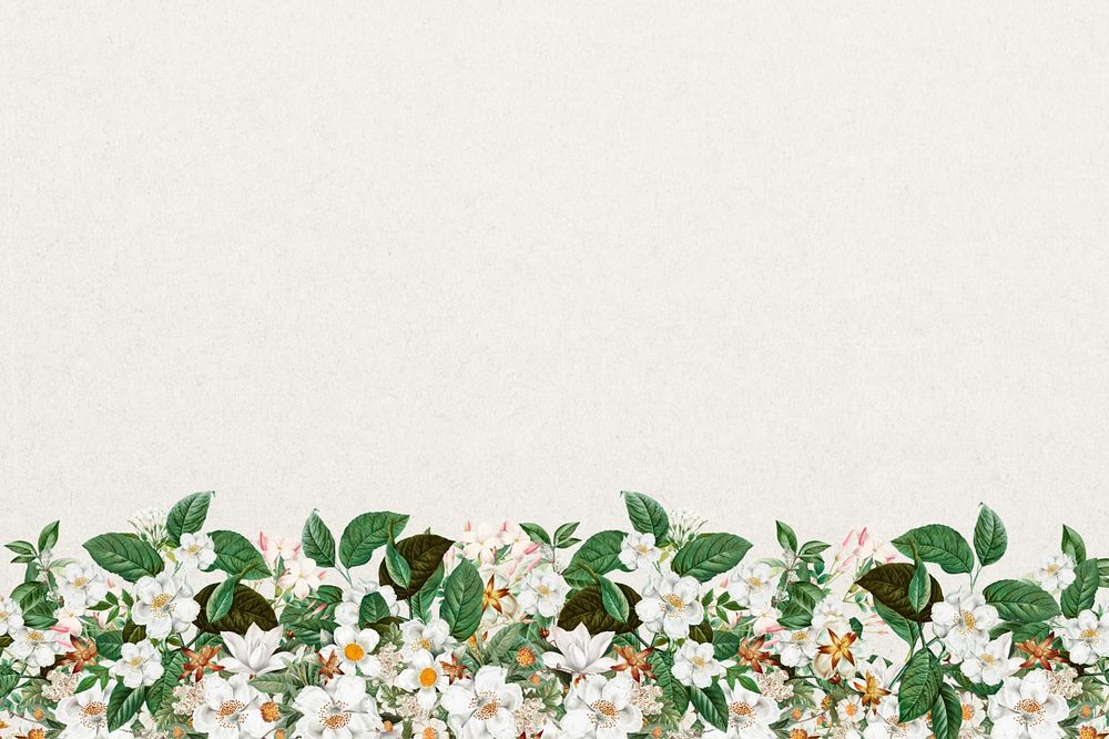 Jasmine flower border background, beige textured design, editable design