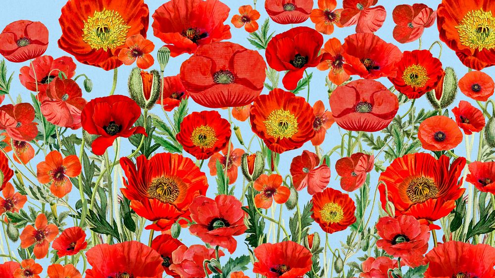 Poppy flower pattern desktop wallpaper, red floral background, editable design