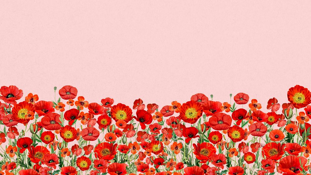 Poppy flower border phone wallpaper, Summer floral background, editable design