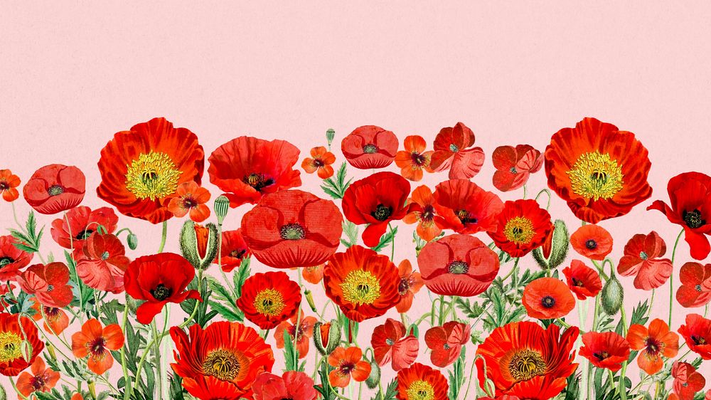 Poppy flower border desktop wallpaper, Summer floral background, editable design