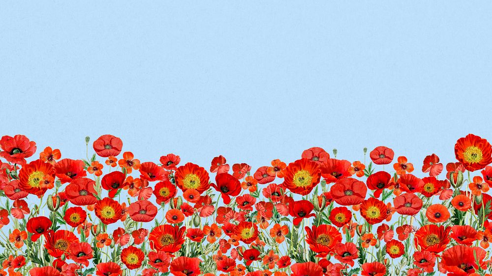 Poppy flower border phone wallpaper, Summer floral background, editable design