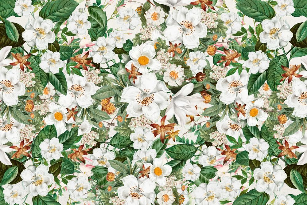 White floral pattern background, Spring flower illustration, editable design