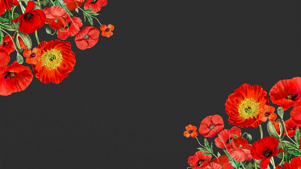 Poppy flower border HD wallpaper, Summer floral background, editable design