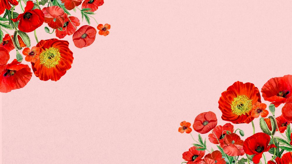 Poppy flower border HD wallpaper, Summer floral background, editable design