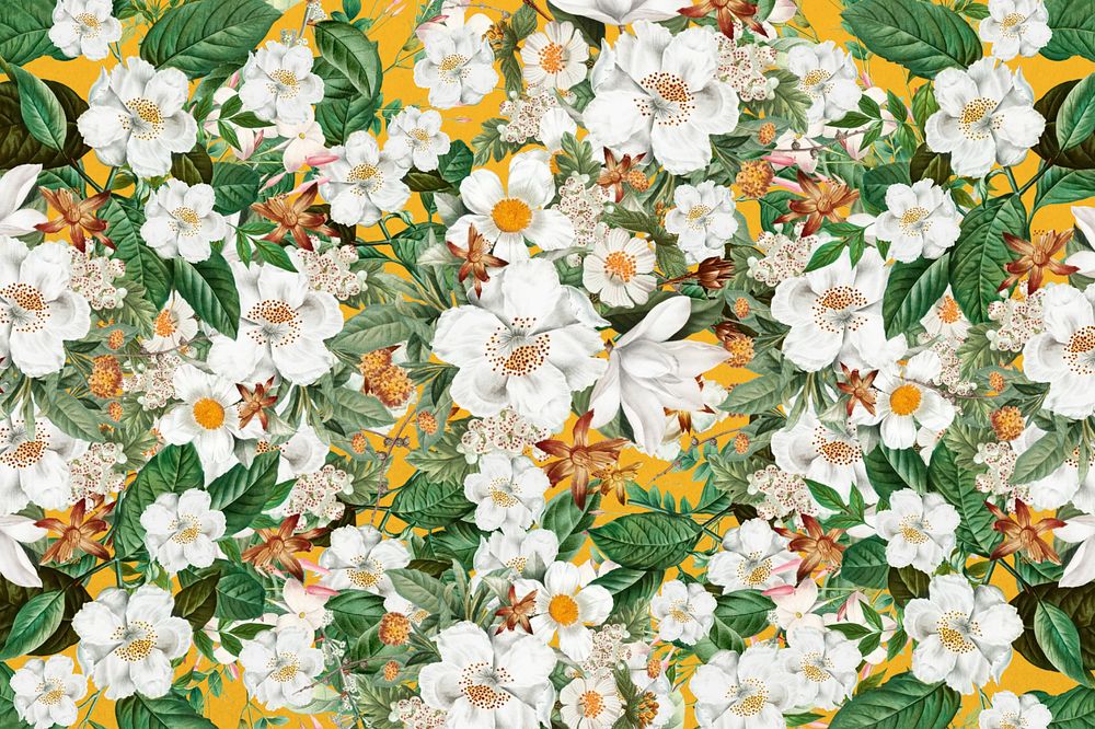 White floral pattern background, Spring flower illustration, editable design