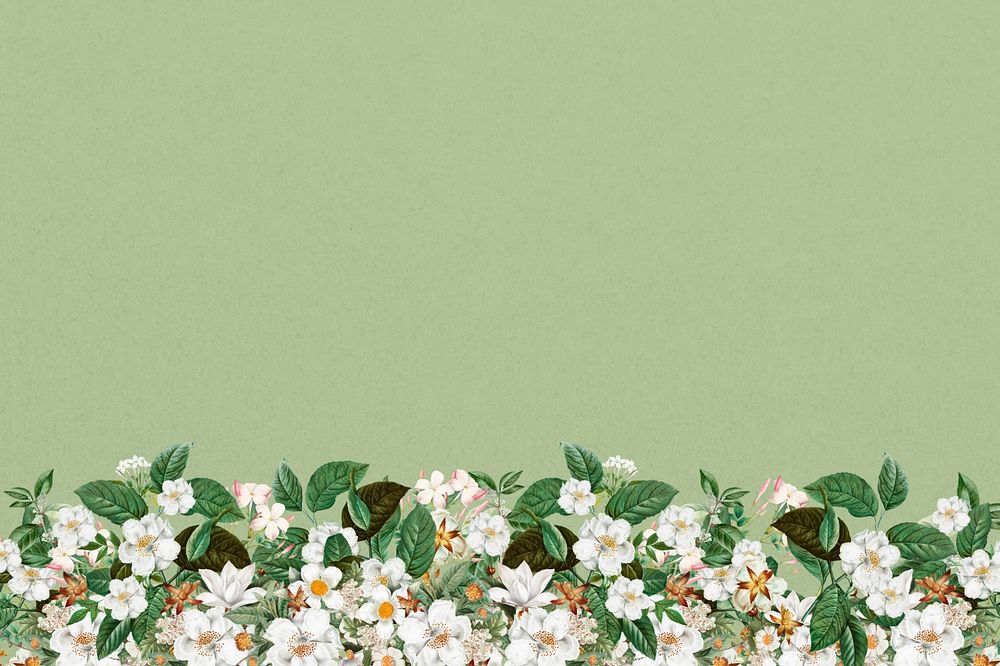 Jasmine flower border background, green textured design, editable design