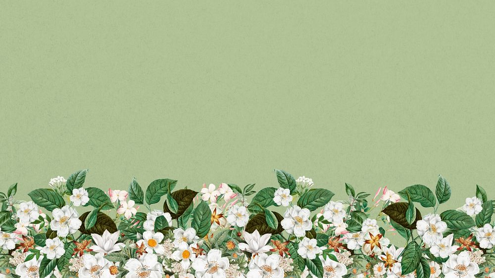 Jasmine flower border desktop wallpaper, green textured background, editable design