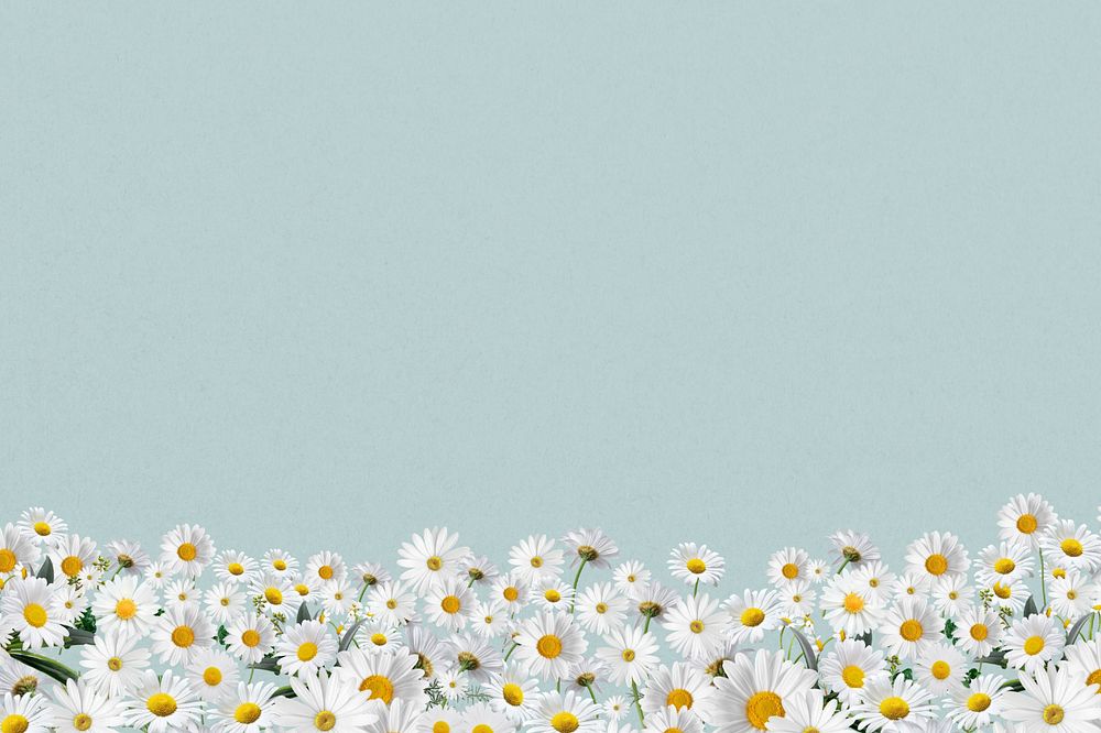 Daisy flower border background, pastel blue, editable design