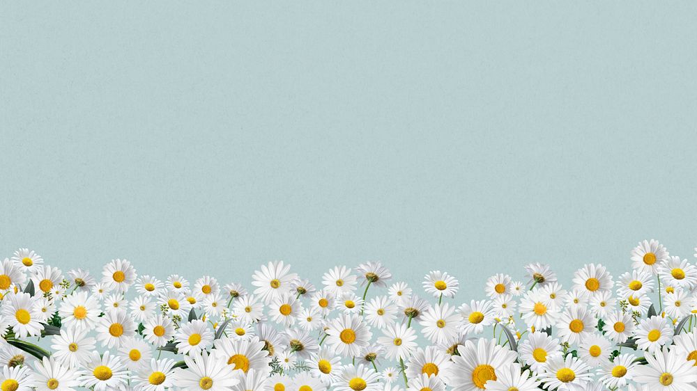 Daisy flower border desktop wallpaper, pastel blue  background, editable design