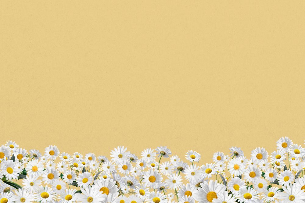 Daisy flower border background, pastel yellow, editable design