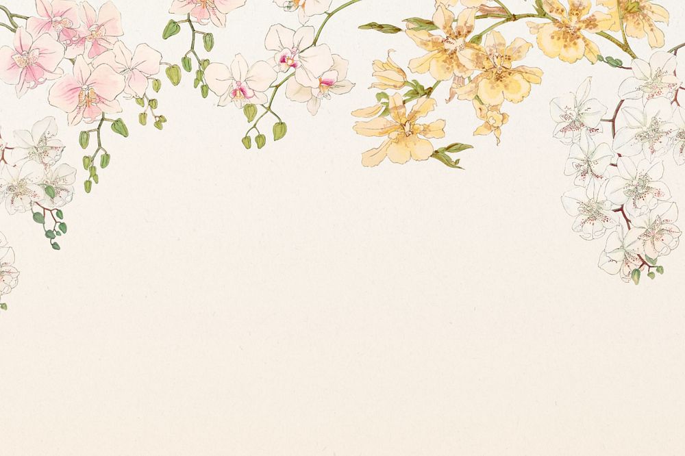 Floral illustration border background.  Remixed by rawpixel.