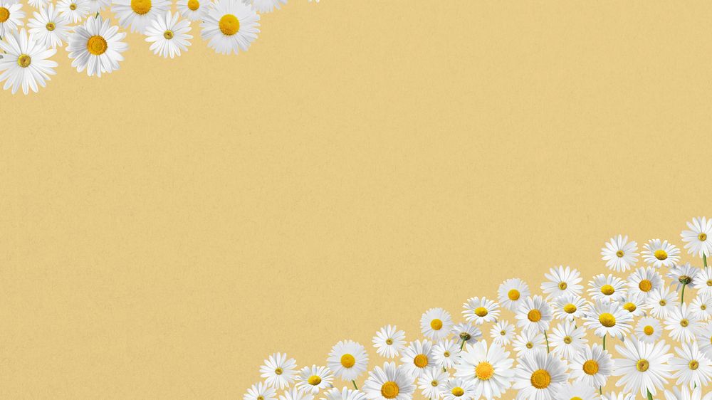 Daisy flower border computer wallpaper, pastel yellow background, editable design