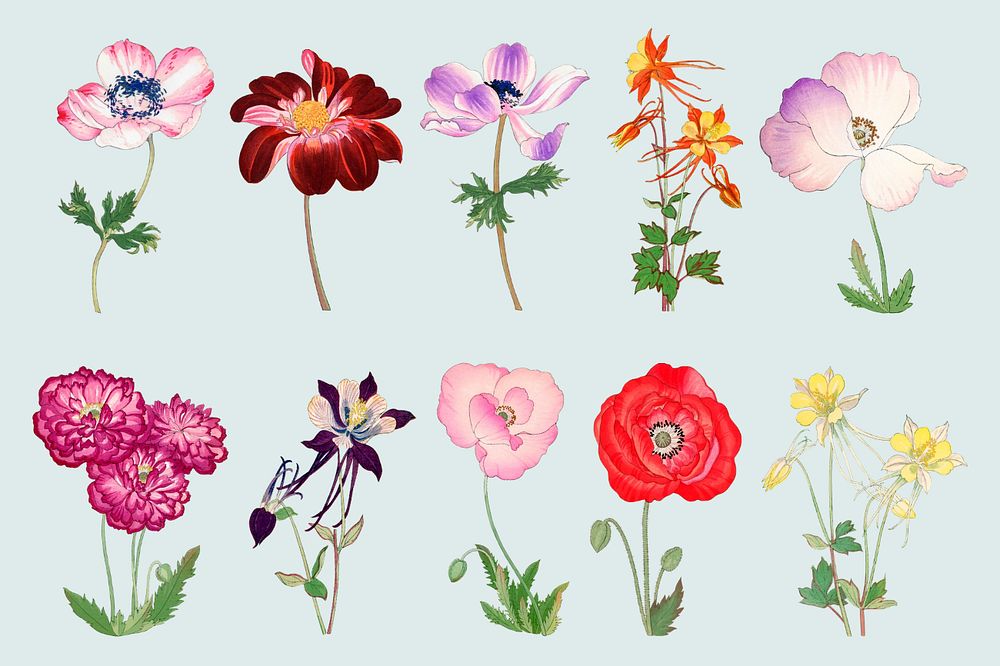 Flowers editable collage element set.  Remixed by rawpixel.