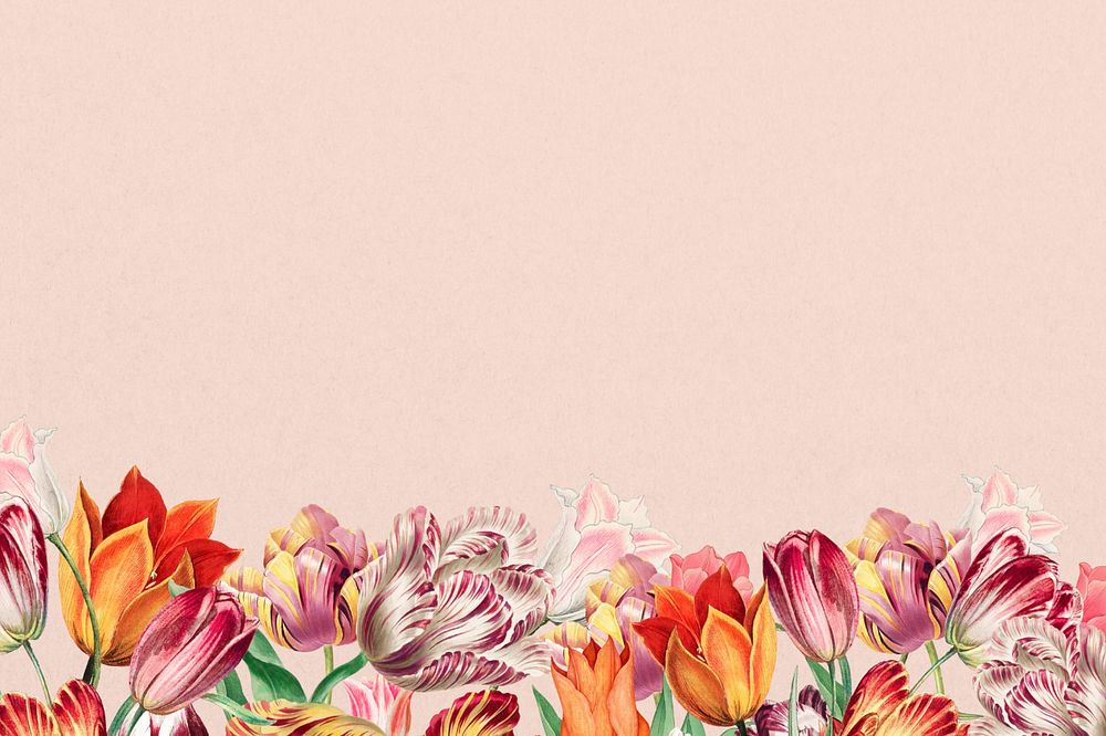 Pink exotic flowers background, colorful botanical border, editable design