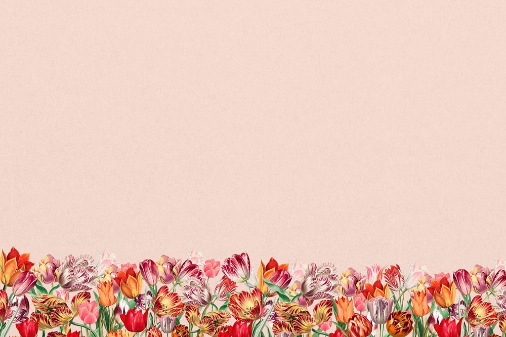 Pink exotic flowers background, colorful botanical border, editable design