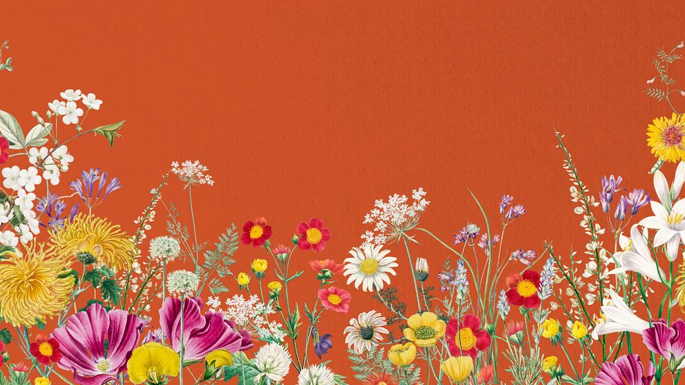 Spring wildflower border computer wallpaper, colorful botanical border background, editable design