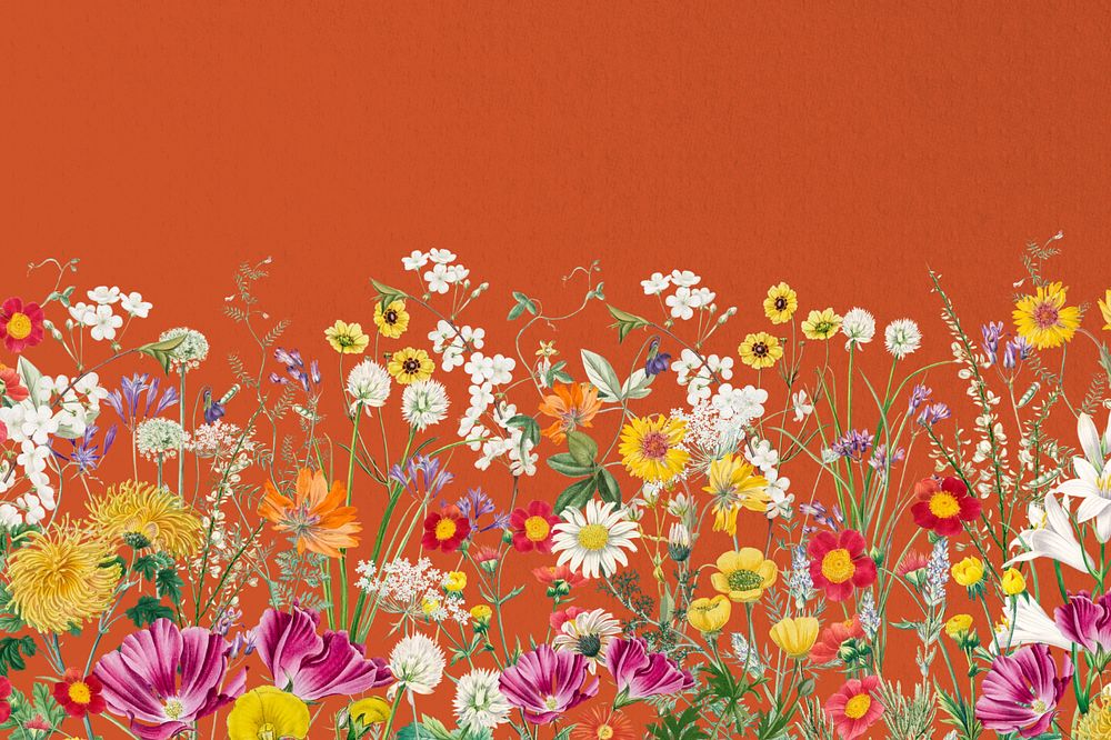 Spring wildflower border background, colorful botanical illustration, editable design