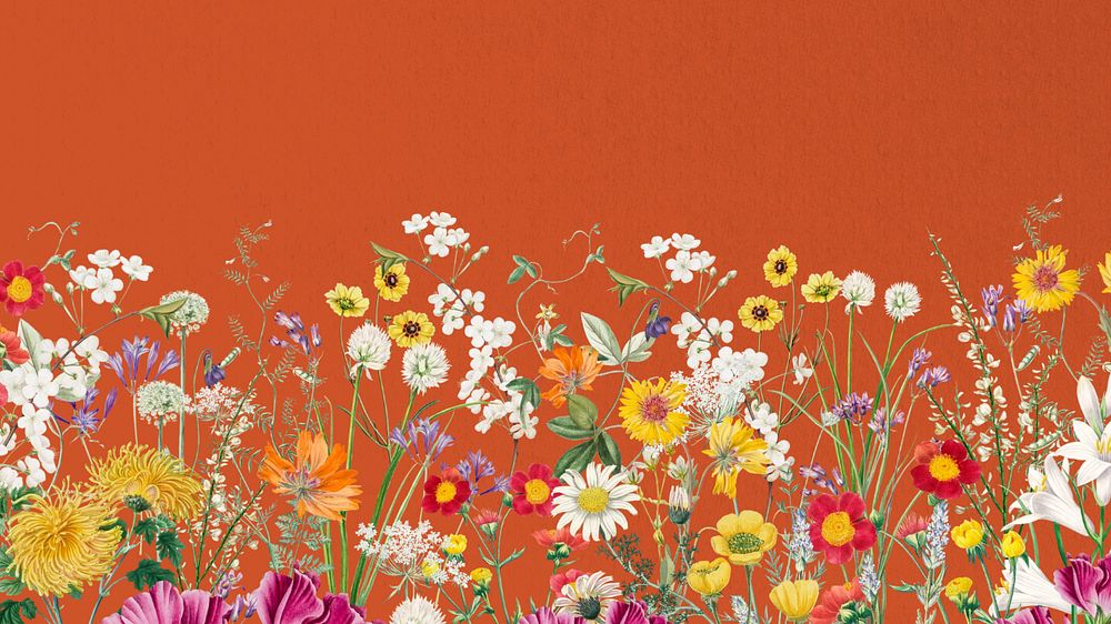 Spring wildflower border computer wallpaper, colorful botanical border background, editable design