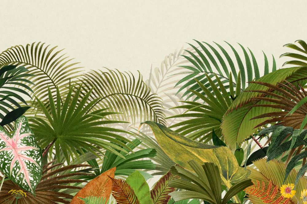 Tropical palm trees background, botanical illustration, editable design