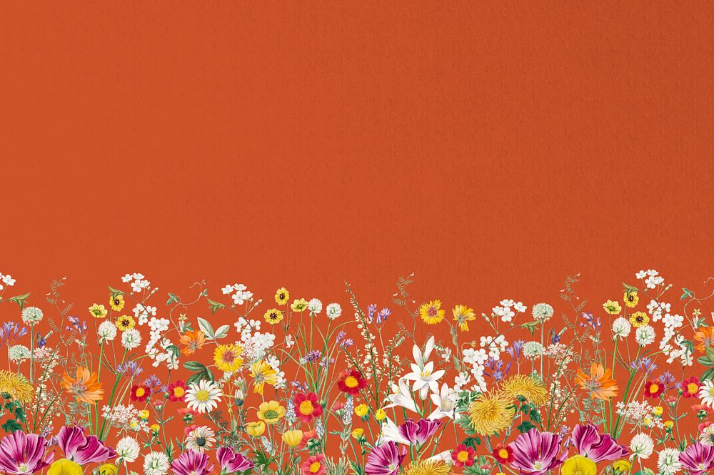 Spring wildflower border background, colorful botanical illustration, editable design