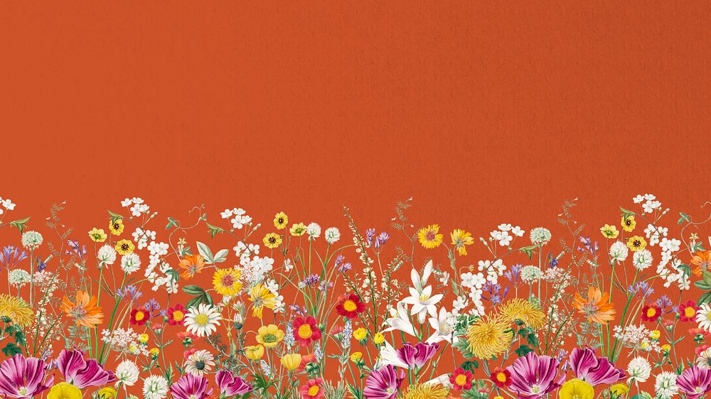 Spring wildflower border computer wallpaper, colorful botanical border background, editable design