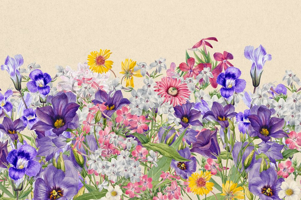 Colorful purple wildflower background, botanical border, editable design