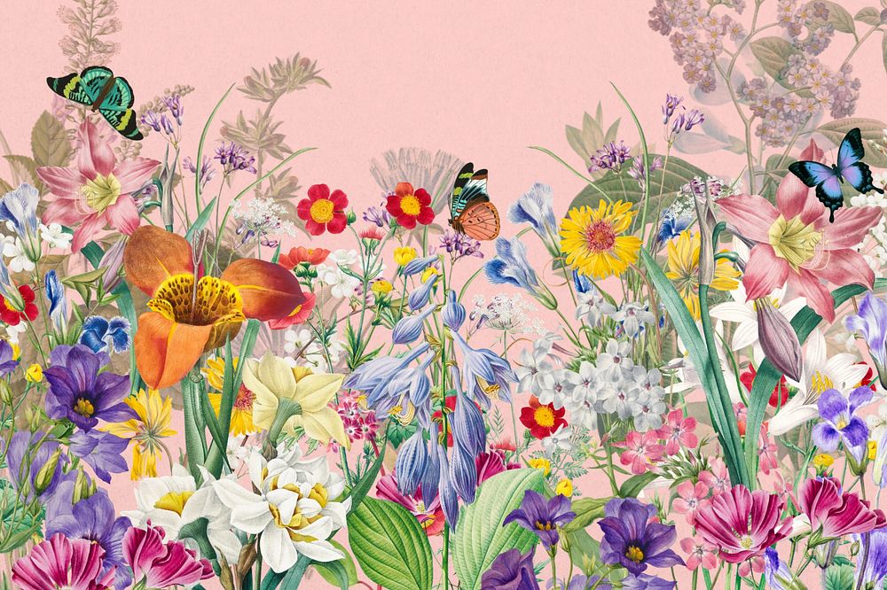 Pink wildflowers aesthetic background, colorful botanical illustration, editable design