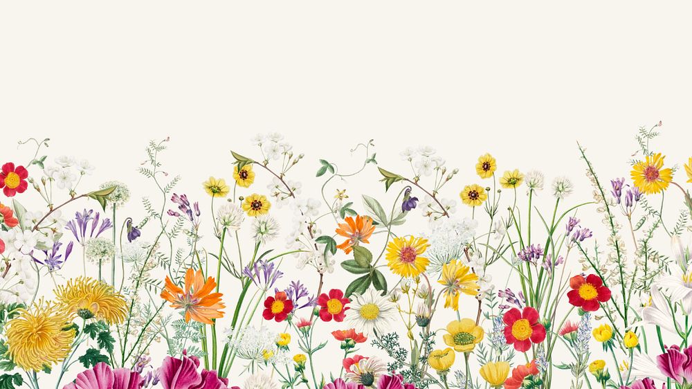 Spring wildflower border computer wallpaper, colorful botanical border background, editable design