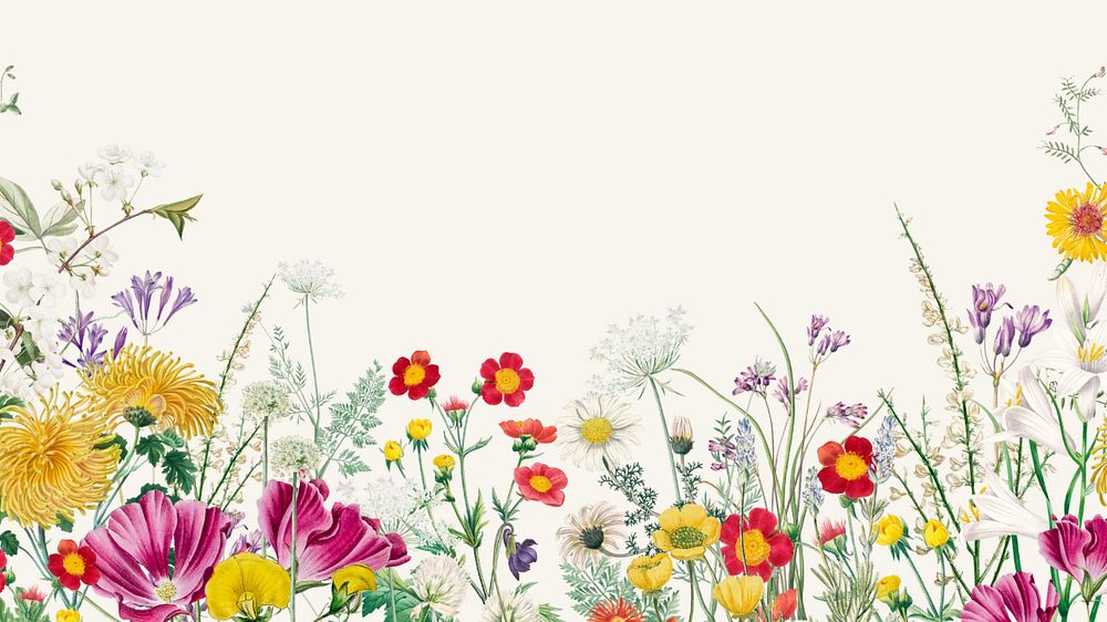 Spring wildflower border computer wallpaper, colorful botanical border background, editable design