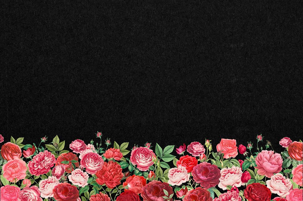 Valentine's flower border background, pink roses illustration, editable design