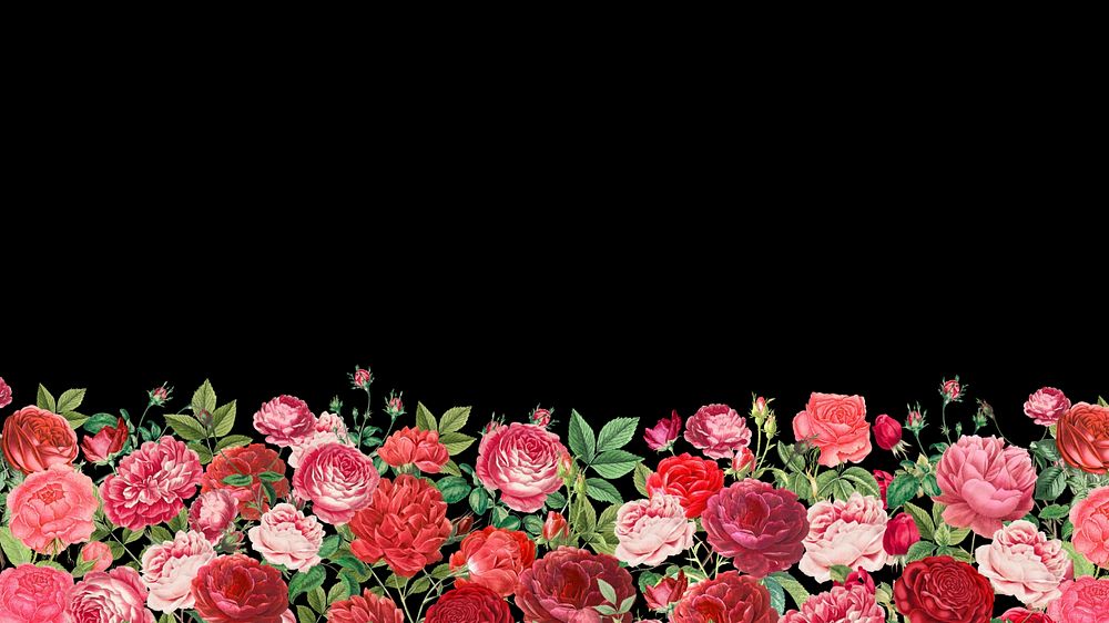 Valentine's flower border HD wallpaper, pink roses background, editable design