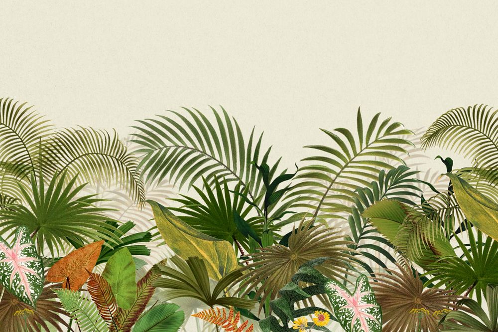 Tropical palm trees background, botanical border, editable design