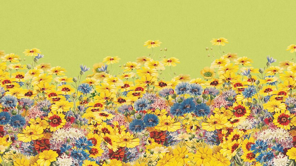 Yellow flower field HD wallpaper, Spring aesthetic background, editable design