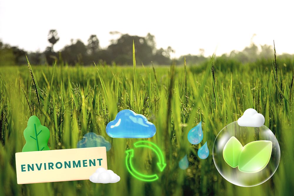 Green environment, editable sustainability word, 3D remix