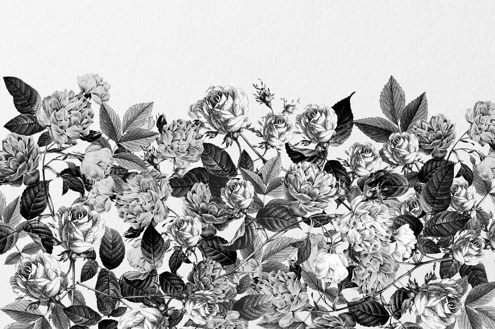 Wild roses background, black and white illustration, editable design