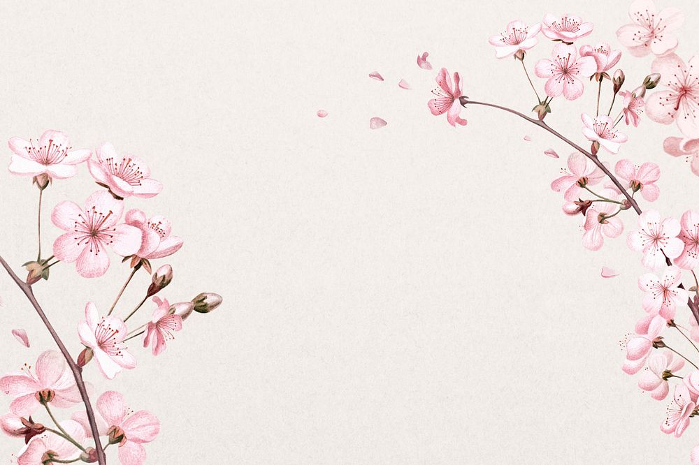 Japanese cherry blossom background, pink flowers illustration, editable design