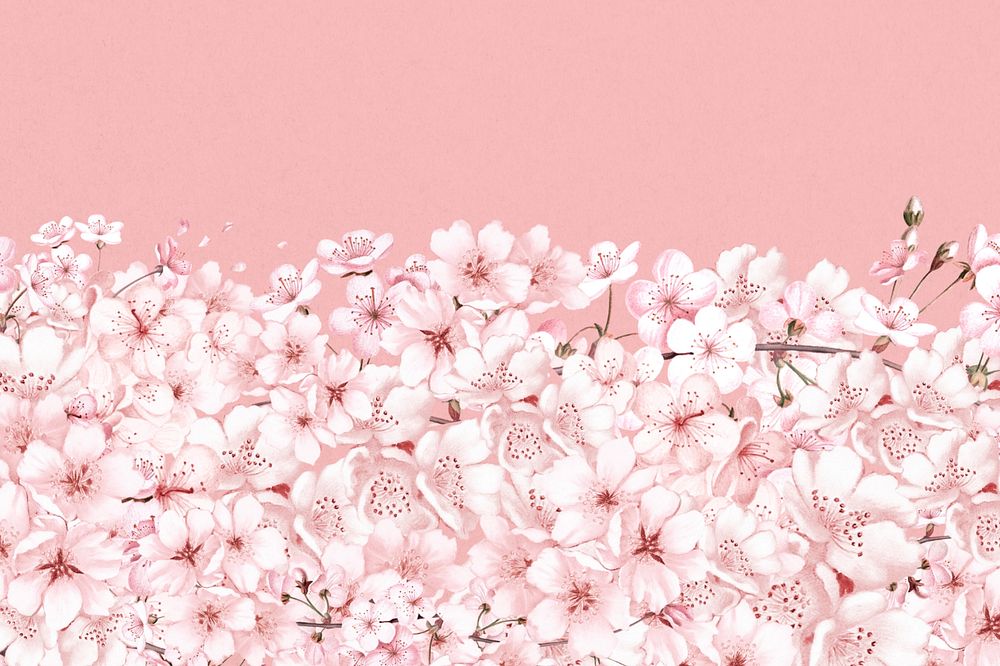 Japanese Sakura flower background, pink botanical illustration, editable design