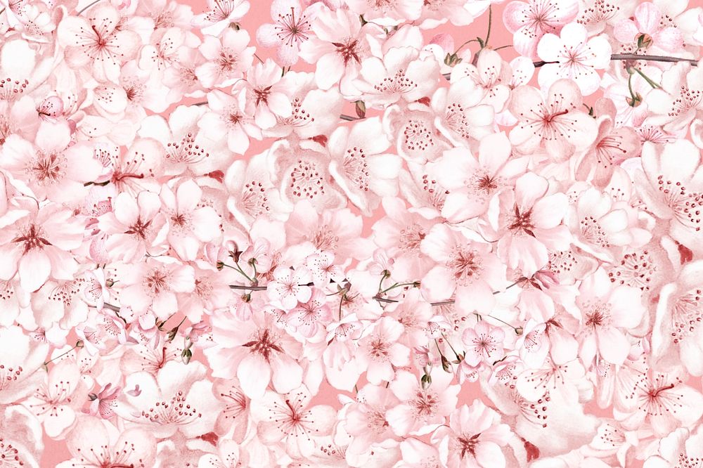 Spring cherry blossom flower pattern, pink botanical illustration, editable design